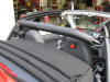 color matched roll-bar