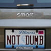 NOT DUMB